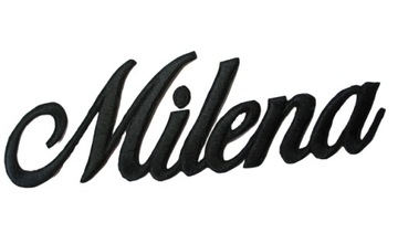 НАШИВКА, термоаппликация, имя и фамилия