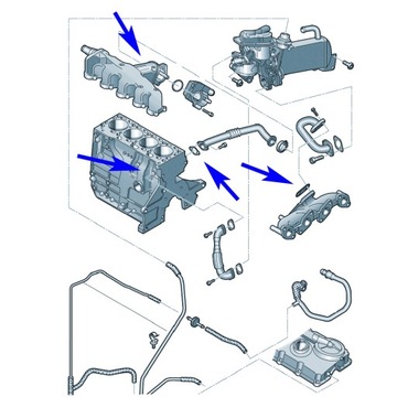 Zestaw zaślepka uszczelka EGR VW Audi Seat 2.0 TDI CR CAA CJC CGL CMF CMG