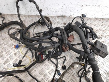 6C31930 SVAZEK KABEL 2.7 HDI 150 2007 CITROEN C6 (TD_)