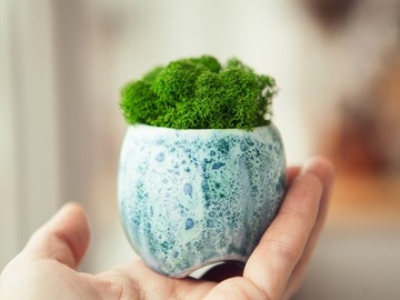 Moss Refier Bropotek 500G зеленая трава трава