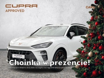 Cupra Terramar 2025 Cupra Terramar 2.0 TSI 204 KM DSG 4Drive/ Advantag