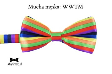 Подтяжки RAINBOW и галстук-бабочка с разноцветными полосками, регулируемые.