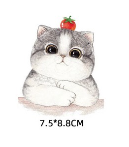 ТЕРМОНАКЛЕЙКА НАНЕСЕНИЕ УТЮГОМ KS-5