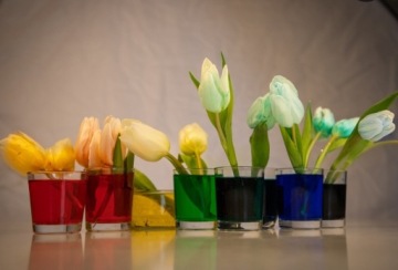 Цветочный краситель для тканей, вода для ванн, каждого цвета, эффективный, сильный, 150мл