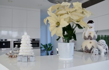 минимализм ЛОФТ глянец Чехол WHITE FLOWER POT16