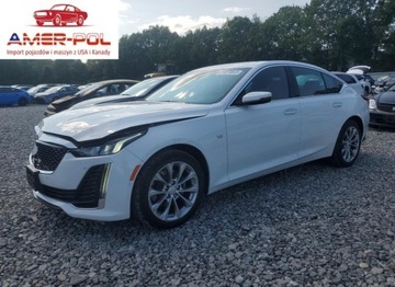 Cadillac 2023 Cadillac CT5 Luxury 2023 2.0l 2.0 Benzyna 237KM