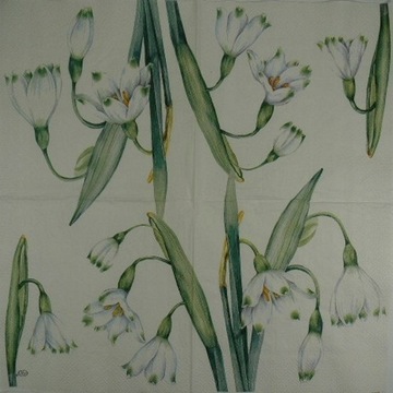 serwetki IHR 33x33 - 20szt - 30002 kwiaty