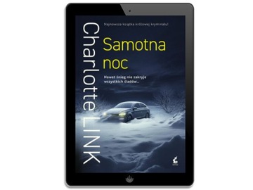 Одинокая ночь