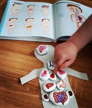 Белые камни для рисования для детей 6-10 см