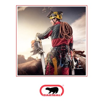 Прочная пильная цепь WORX WA0140 | 25 см - 10 дюймов