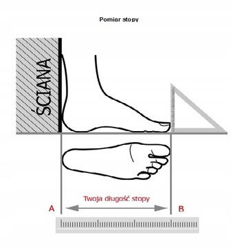 ЭСКИМОСЫ НА ЛИПУЧКЕ ШЕРСТИ (ЗАЙЧИК 018/А)-С. 21