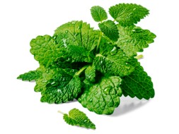 Cukierki Ziołowe VERBENA MIX 8 Smaków od GÓRALEK