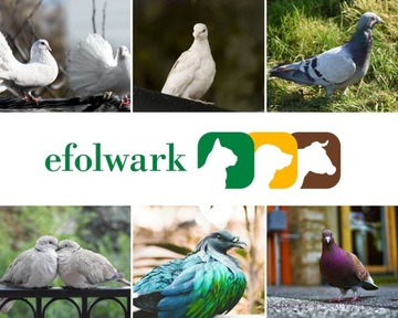 Trouw Nutrition, Мультивитамины, витамины для кур/голубей, 100 мл