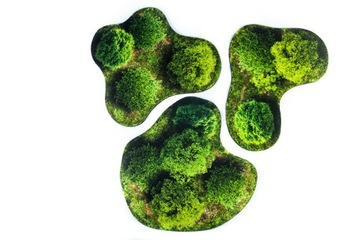 2D УНИВЕРСАЛЬНЫЕ ОБЛАСТИ - ЛЕС