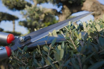 BAHCO P52-SL-20 Ножницы для живой изгороди, лезвие 18 см