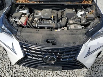 Lexus NX I 2020 Lexus NX 300 2020 2.0L 2.0 Benzyna 235KM, zdjęcie 6