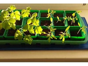 Нагревательный мат для рассады 