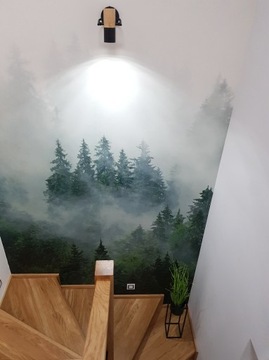 ФОТОобои НА НЕПОЛЕВОМ ЛЕСЕ В ТУМАНЕ, образец