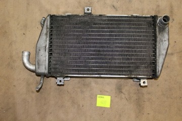 ОХЛАДИТЕЛЬ ВОДЫ GL 1800 GOLD WING 01-05