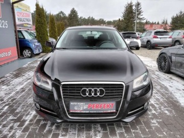 Audi A3 8P Hatchback 3d 1.4 TFSI 125KM 2010 Audi A3 Sportback Lift LED Klimatronik Elektryka Serwis 1.4 Benzyna 125KM, zdjęcie 1