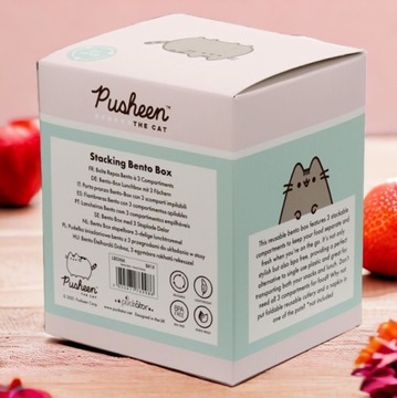 Ланч -контейнер Kot Pushen Breakfast Kotek - детская школа