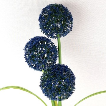 СОЛНЕЧНАЯ СОЛНЕЧНАЯ СВЕТОДИОДНАЯ СВЕТОДИОДНАЯ ДЕКОРАТИВНАЯ 75 СМ САДОВАЯ СОЛНЕЧНАЯ СОЛНЕЧНАЯ С ЧЕСНОЧНЫМ ЦВЕТКОМ Одуванчик