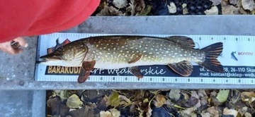 Рыболовная рулетка с жестким краем, 120 см, оригинал