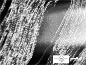 РУЛОН БУМАГИ РУЛОН ДЛЯ ПЛОТТЕРА 610х5 MEDIAJET LUSTER PMC 260FD 260г