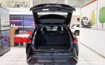 Lexus RX V 2.5 450h+ 309KM 2025 Lexus RX 450h F Sport Design Technology 2.5 Hybryda Plug-in 309KM, zdjęcie 20