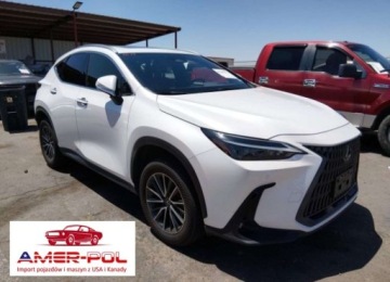 Lexus NX II 2024 Lexus NX 2024r., 250 Premium, 2.5L od ubezpieczalni 2.5 Benzyna 203KM