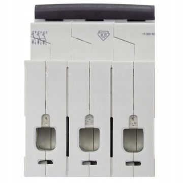 Предохранитель максимального тока LEGRAND RX3 25A 419237 3P3F