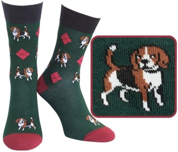 Skarpety Bawełniane Kolorowe KREBO Psy Gończy Beagle 39 - 42