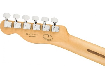 Гитара Fender Player Telecaster MN AGN Limited