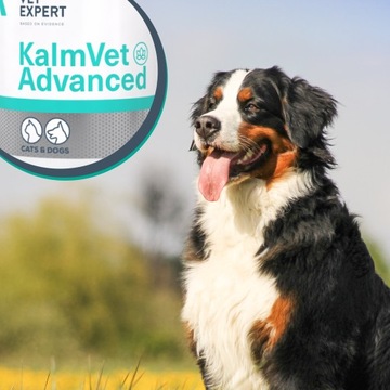 VetExpert KalmVet Advanced 60 капсул Twist Off