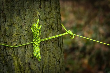 Сильная ссылка Paracord Atwood 550 фунт сгорел апельсин 30м