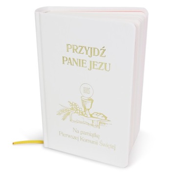 НАБОР ДЛЯ ПРИЧАСТИЯ: КНИГА + ЧЕТКИ + ЧЕХОЛ
