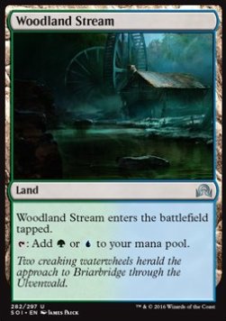 Woodland Stream - Shadows over Innistrad