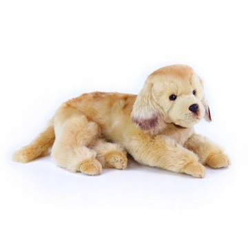 GOLDEN RETRIEVER REALISTYCZNA MASKOTKA LABRADOR ZŁOTY 42cm DUŻY
