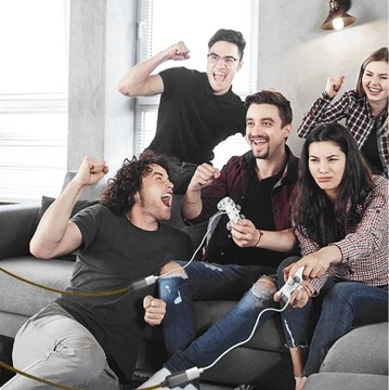 УДЛИНИТЕЛЬ USB 2.0 АКТИВНЫЙ УДЛИНИТЕЛЬ USB-A ПАПА-МАМА 10М