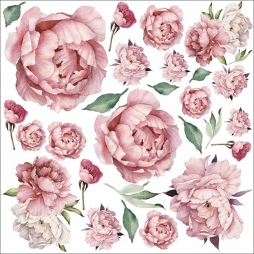 PIWONIE Naklejki na ścianę peonie róże 100X100cm K