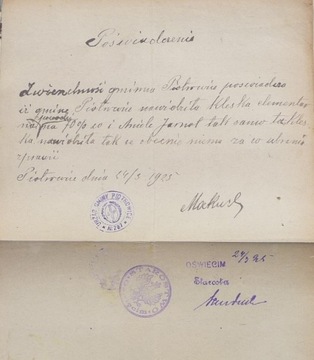 СВИДЕТЕЛЬСТВО – Гмина Пиотровице – 1925 г.
