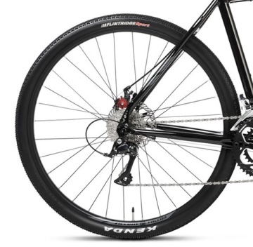 Accent Falcon черный 2024 + eBon 100 зл.