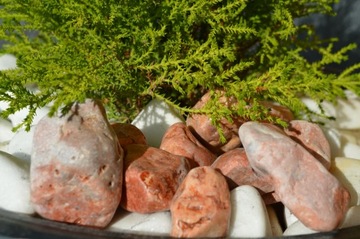 OTOCZAK RÓŻOWY PINK PASTELOWY OGRÓD KAMIEŃ NOWOŚĆ