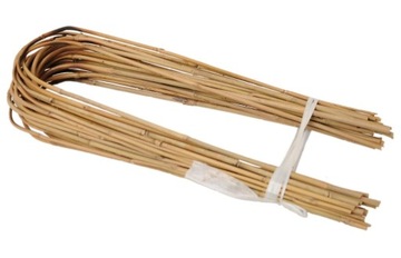 Bambus gięty 60 cm 8/10 mm /100 szt/ tyczki