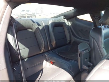 Ford Mustang VI 2024 Ford Mustang Ecoboost Premium Fastback 2024 2.3l 2.3 Benzyna 315KM, zdjęcie 12