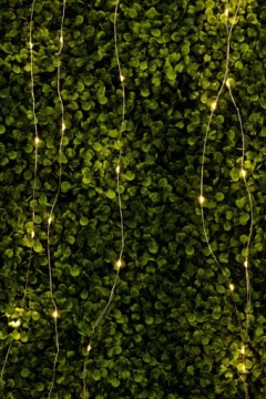 GIRLANDA SOLARNA LAMPKI OGRODOWE DRUCIKI 200LED Średnica kuli 0 cm