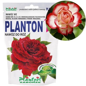 PLANTON R DOYPACK róża 200G