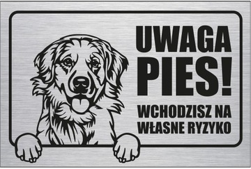 Tabliczka aluminiowa Uwaga Pies Golden Retriver