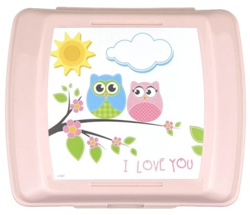 Детская коробка для завтрака Lunchbox контейнер для еды BPA бесплатно девочки