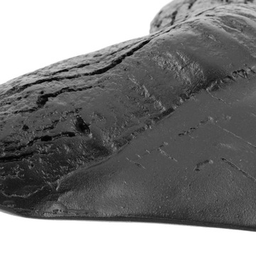 ГИГАНТСКИЕ УКРАШЕНИЯ ЗУБОВ МЕГАЛОДОНА